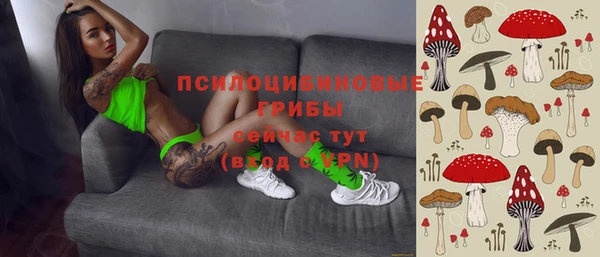 дживик Нефтегорск