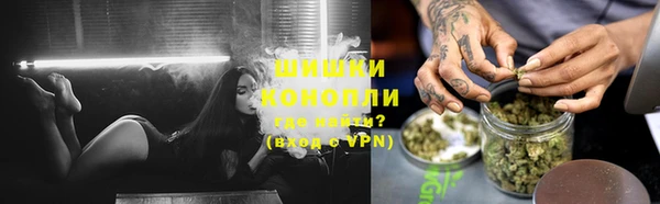 крисы Нея