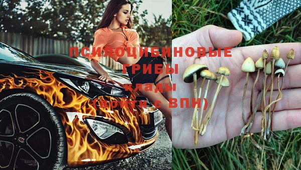 крисы Нея