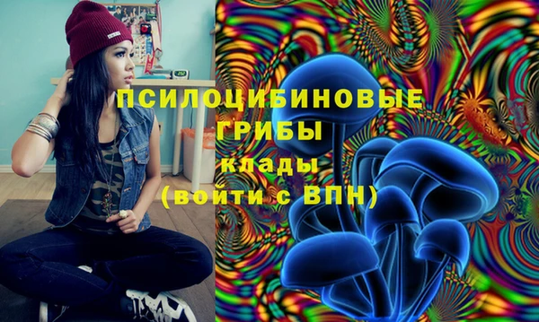 крисы Нея