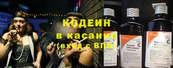 крисы Нея