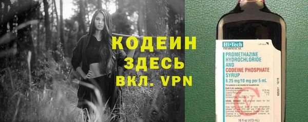 крисы Нея