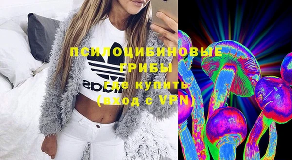 PSILOCYBIN Нефтекумск